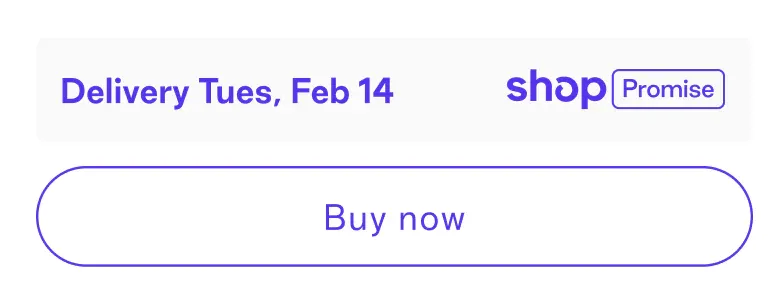 The shipped Shop Promise component — a single trusted delivery date above the buy button.